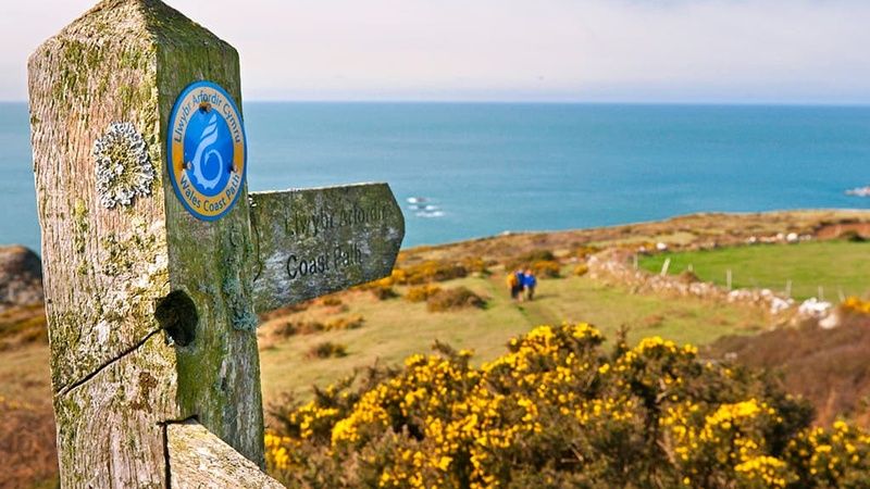 Wales Coast Path and Pembrokeshire Coast Path signs