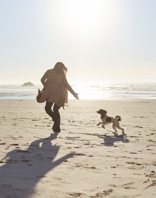 Woman and Dog Running on Beach