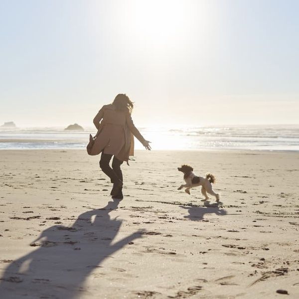 Woman and Dog Running on Beach