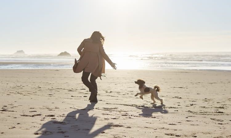 Woman and Dog Running on Beach