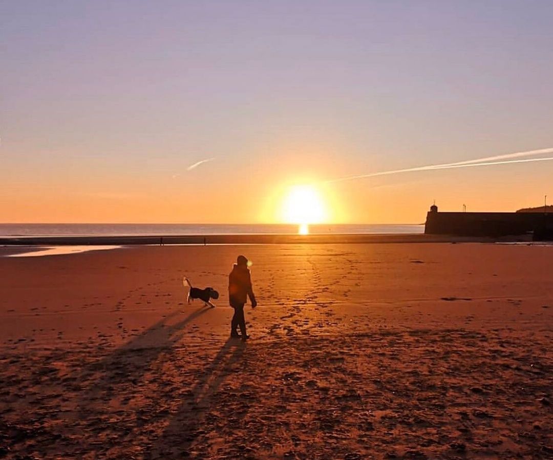 St Brides Dog Friendly