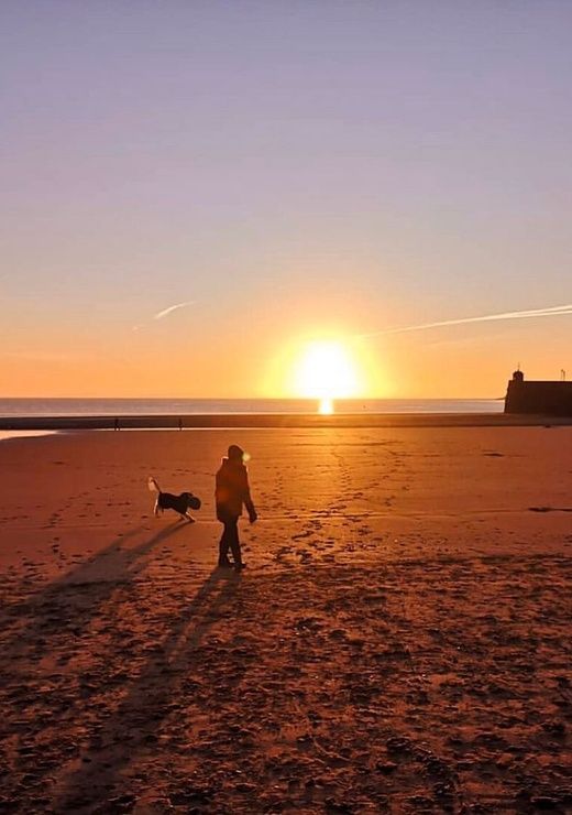 St Brides Dog Friendly
