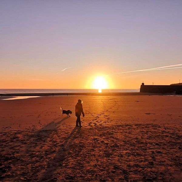 St Brides Dog Friendly