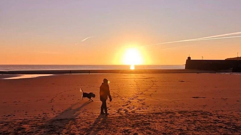 St Brides Dog Friendly