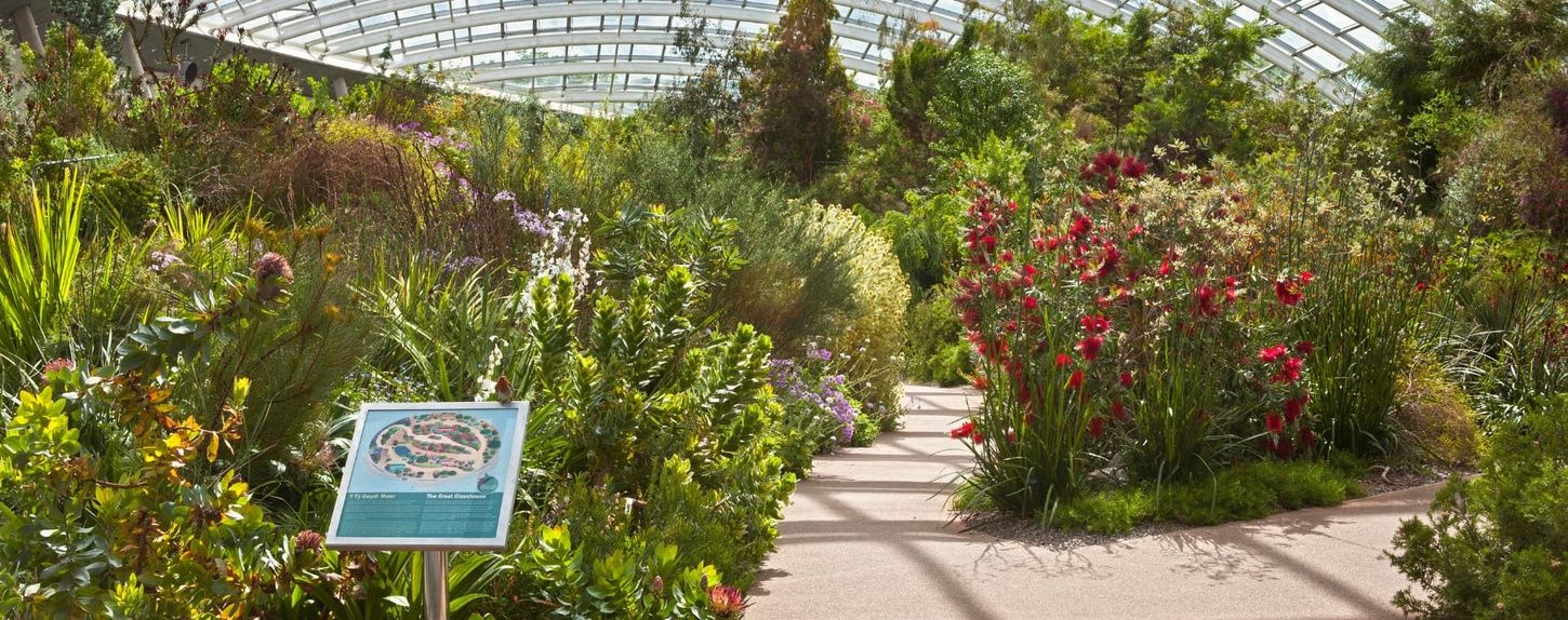 National Botanic Garden of Wales