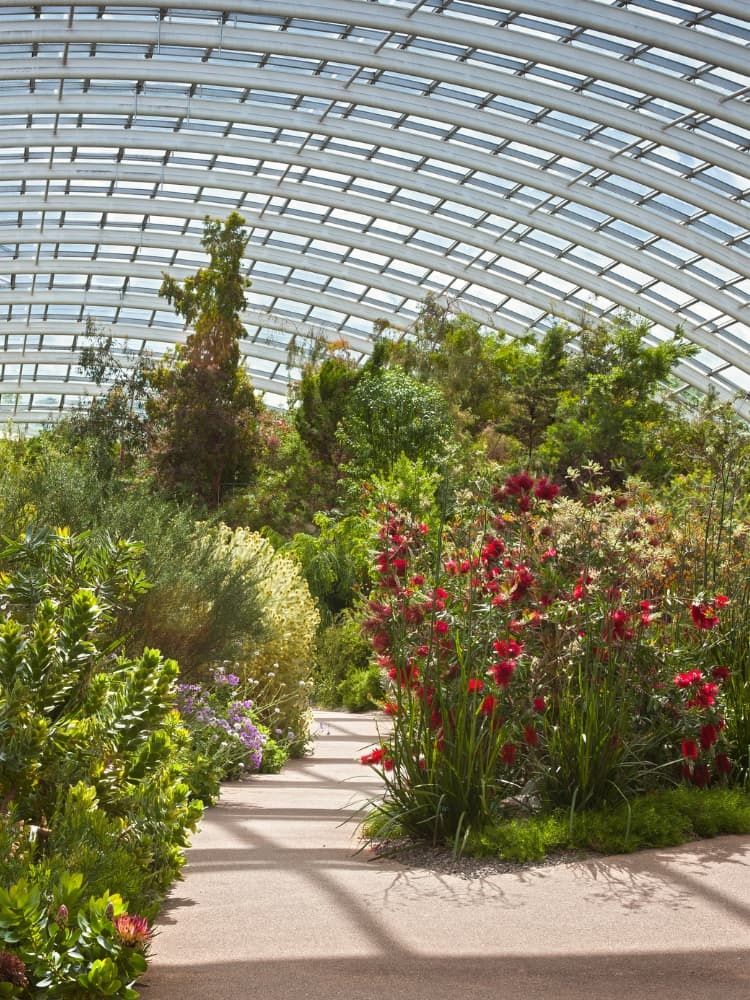 National Botanic Garden of Wales